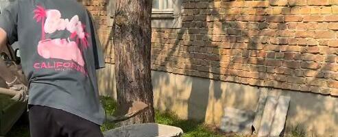 "MOJ TATA IMA DVA SINA I OBE SMO ĆERKE!" Sestre vrednice napravile ršum na mrežama, nema posla koji ne znaju, cepaju drva, mešaju cement da ovim obraduju oca!