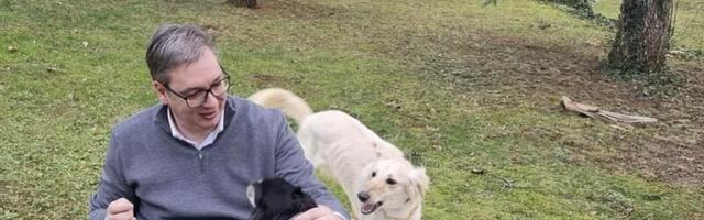 Vučić objavio fotografiju kako se igra sa dva psa i najavio teške odluke