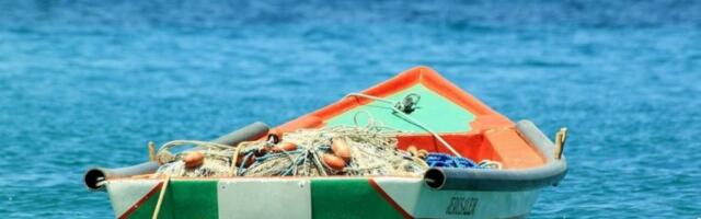 DRAMA NA MORU U CRNOJ GORI: Nastala opšta uzbuna, snimljena retka vrsta ribe "čudnog" izgleda (VIDEO)