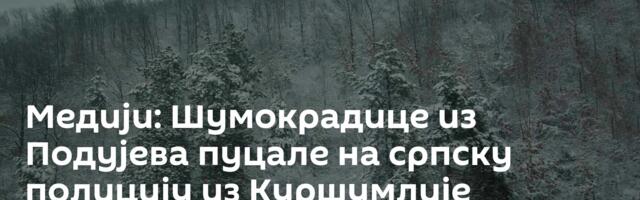 Медији: Шумокрадице из Подујева пуцале на српску полицију из Куршумлије