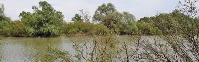 Izdato upozorenje – spominje se Tamiš kod Jaše Tomića