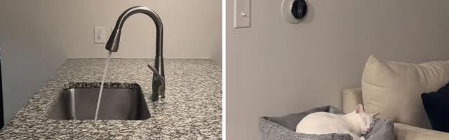 "Kad sam obišla mačku koja je bila sama, ovo sam zatekla", piše na snimku koji je pogledalo POLA MILIONA LJUDI