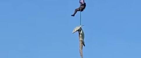 ŠOKANTNA AKCIJA POLICIJE: Helikopterom uleteli među krokodile da izvuku ljudske ostatke (VIDEO)