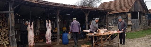 Традиционални свињокољ 29. новамбра поштује се и дан данас