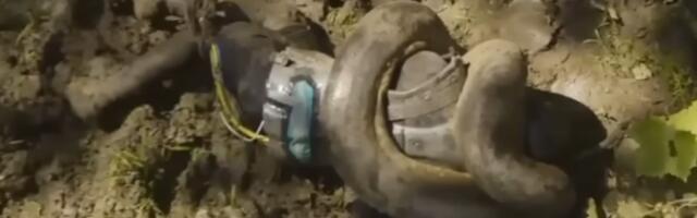 ANAKONDA GA ŽIVOG GUTALA! Istraživač zvao ekipu u pomoć kada je zmija počela da ga lomi: Malo je falilo da mi iščupa ruke (VIDEO)