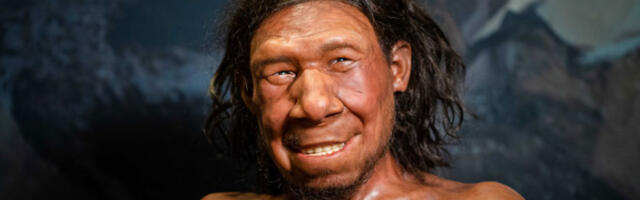 Студија: укрштање људи и неандерталаца ишло углавном у једном смеру