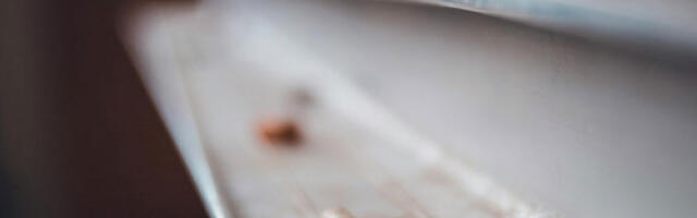 Зимски распуст почиње данас, друго полугодиште 19. јануара