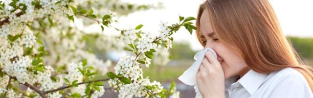 Proleće postaje noćna mora: Ovo su jasni znaci alergije na polen - evo kako da se zaštitite