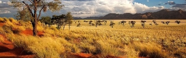 Adolf Hitler pobedio na izborima u afričkoj zemlji!