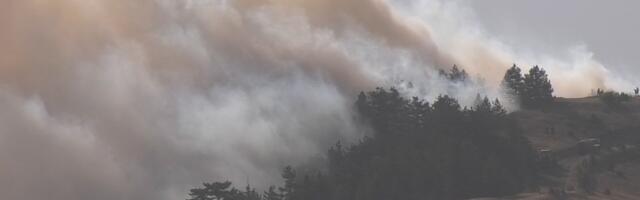 Vlada Srbije: Za pomoć ugroženima u požarom zahvaćenim područjima 350 miliona dinara