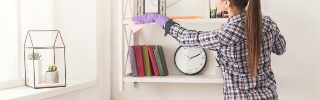 Celog života pogrešno brišete prašinu: Jednom prođite krpom i neće se stvarati dugo