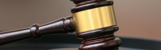 Уставно судовање и ми