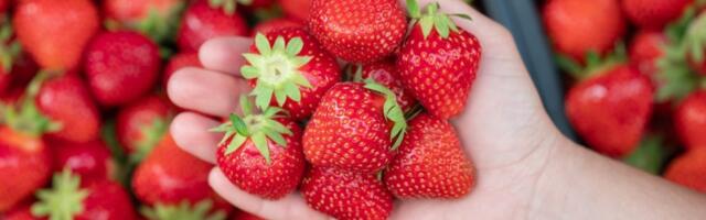 Kako uvek izabrati najbolje i najslađe jagode na pijaci: Ove stvari su ključne