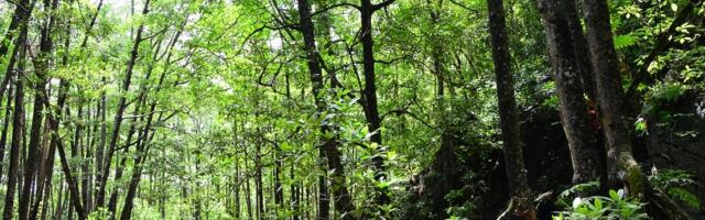 WWF: Srbija od sutra u ekološkom dugu