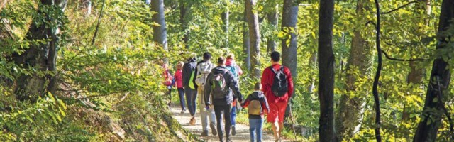 EKOTURIZAM: Zaštitimo šume, one su naše blago!