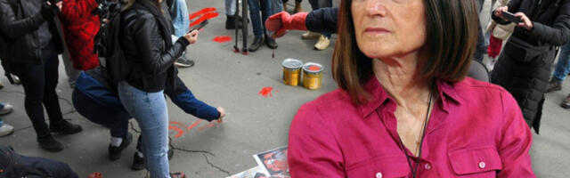 "DOBILA JE ZASLUŽENI PUBLICITET ZA TAJ IDIOTSKI TVIT" - Ljiljana Smajlović oštro odgovorila Bojani Maljević (VIDEO)