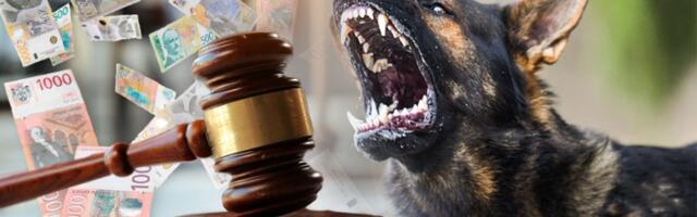 Komunalci krenuli u kontrole OPASNIH pasa: Evo šta je zabranjeno