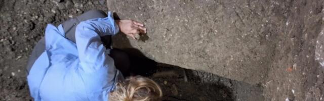 PRONAĐEN ZLATNI NAKIT U PANČEVU! Arheolozi na Grmušinoj kosi iskopali porodično blago o kojem se ćutalo godinama!