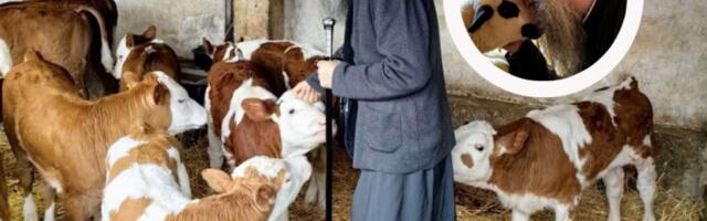 DIRLJIVE SLIKE KOSOVA I METOHIJE KOJE SE RETKO VIĐAJU: Patrijarh Porfirije obišao manastirsko imanje Visokih Dečana (FOTO)