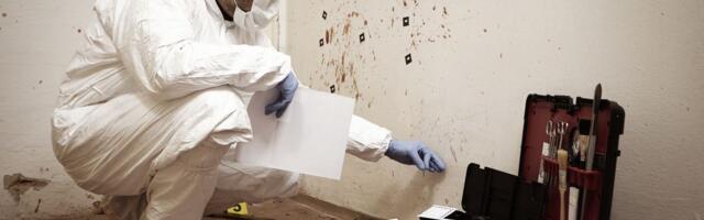 RENOVIRANJE SE PRETVORILO U HOROR Ispod poda pronašli KOSTUR BEBE, a detalj sa novinama šokirao policiju