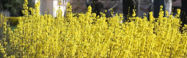 Vremenska prognoza za subotu