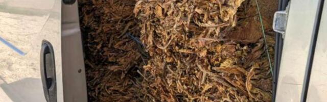 PAO ŠVERCER KOD RUME: Oštetio budžet države za 4,4 MILIONA, policija mu u kombiju pronaška 540 KILOGRAMA DUVANA!