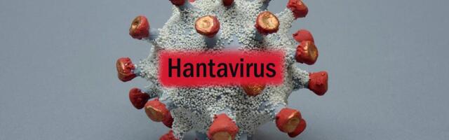 Ispovest Ivanjičanke koja je preživela opasni HANTAVIRUS: Imala sam mučninu i jake bolove, simptomi su...