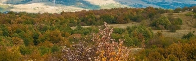 Strelci završavaju jedan karmički ciklus, Vage i Blizance čeka priliv novca