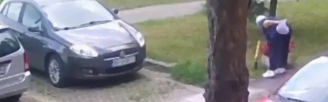 Žena na Novom Beogradu ukrala cveće iz žardinjere, profi se okrenula i otišla kao da se ništa nije desilo