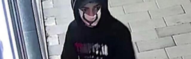 DRAMA U NOVOM SADU: Tokom noći obijeno više lokala na Sentandrejskom putu