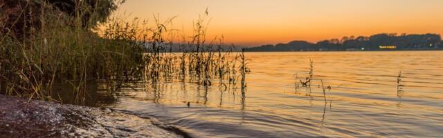 Zanimljiv predlog, inovativna ideja: Ot­pad bi mo­gao da “putuje” Sa­vom i Du­na­vom do de­po­ni­je