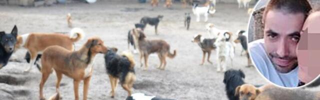 Osuđen volonter iz Velikog Gradišta zbog uginuća 120 pasa! Evo koliko će robijati