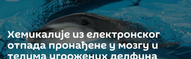 Хемикалије из електронског отпада пронађене у мозгу и телима угрожених делфина