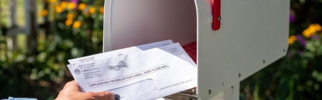 Sanduče kakvo niste videli: Umesto pisama, unutra su se uselili najslađi podstanari koje možete zamisliti