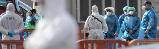Hantavirus kosi! Panika se širi svetom: Taman kad smo mislili da je gotovo, stigle su zabrinjavajuće vesti