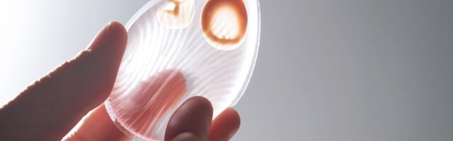 Silikonski sunđer - najnoviji aplikator za nanošenje šminke