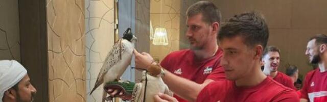 "ORLOVI" SA SOKOLOVIMA! KOŠARKAŠI SRBIJE IMALI NEOBIČNU POSETU: Evo ko se UPLAŠIO grabljivica! Jokara i Bogi NEUSTRAŠIVI (FOTO)