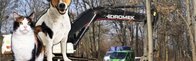 Zlatibor se ugledao na Beograd: Opština Čajetina donela odluku važnu za vlasnike kućnih ljubimaca