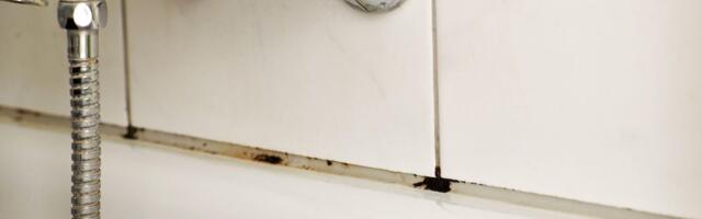 Kako skinuti buđ sa silikonskih zaptivki da se ne vrati: Stručnjaci kažu da vam treba samo jedan prirodan sastojak