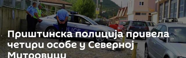 Приштинска полиција привела четири особе у Северној Митровици