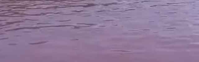 Meštani su ga sami izgradili, a voda ne dozvoljava razvijanje bilo kakvih bakterija! (VIDEO)