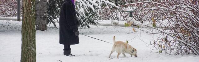 U 10 h temperatura u celoj Srbiji i dalje ispod nule: Na Kopaoniku minus 14 stepeni