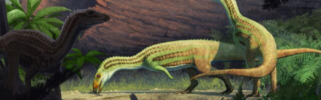 Praistorijski rođak krokodila počinjao život na 4, a u odraslom dobu hodao na 2 noge