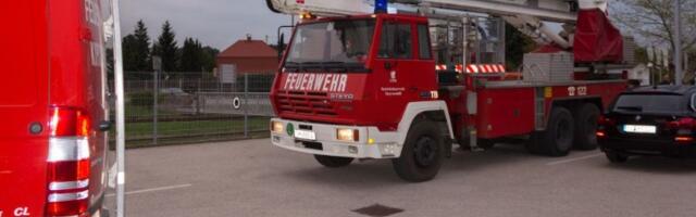 HOROR U požaru poginula deca stara godinu i pet godina