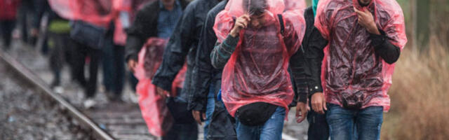 Гуљаш: Мађарска неће спроводити ЕУ пакт о миграцијама