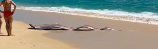 MNOGI VERUJU DA NAJAVLJUJU NESREĆU U poznatom letovalištu pojavile se "ribe sudnjeg dana", nastao haos