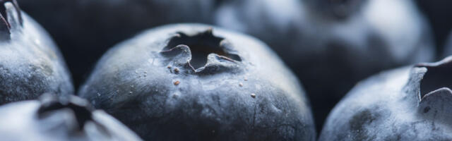 Šta se dešava kad redovno jedete borovnice? Utiču i na srce i na mozak, ovo je preporučena količina