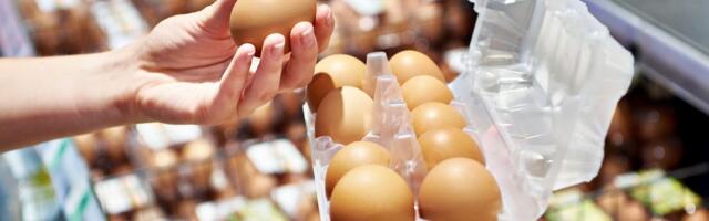Cena ovih jaja skočila je 14 odsto za samo mesec dana: Kućni budžet u Hrvatskoj na ozbiljnom udaru