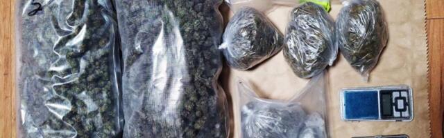 U stanu pronađeno 2,5 kg marihuane: Uhapšen diler u Beogradu