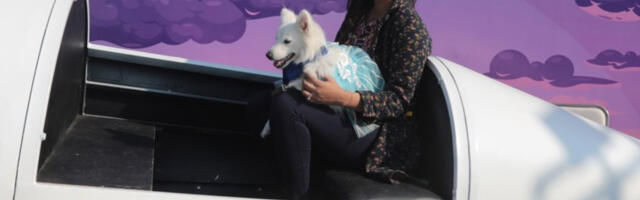 Пси ће добити више слободе у авионима, моћи ће да се превозе без транспортера